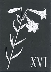 学習院輔仁会音楽部 第16回合同演奏会パンフレット